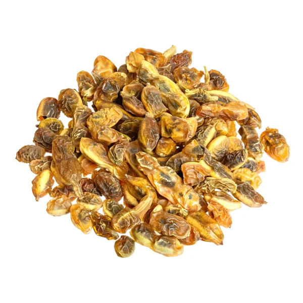 Herbs: dried sophora japonica beans isolated on the white backgr — Stock Photo, Image