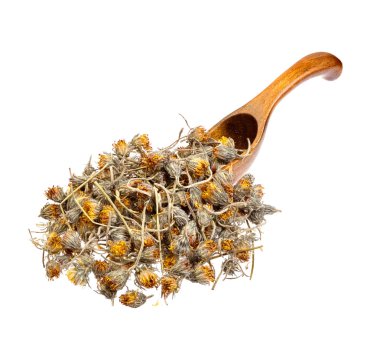 Tahta kaşık kuru Farekulağı çiçekler.