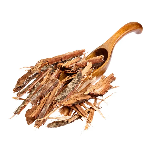Oak bark on the wooden spoon. — Stock Photo, Image
