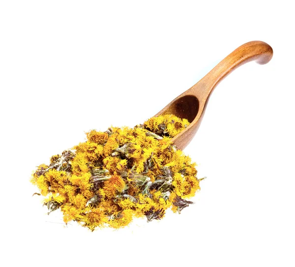 Fiori secchi piede di colza (Tussilago farfara) sul cucchiaio di legno . — Foto Stock