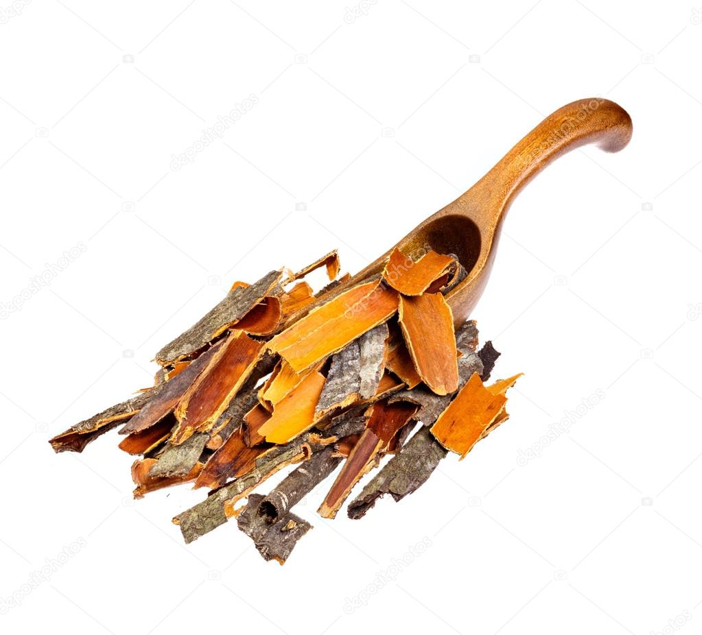 Buckthorn herb bark in a wooden spoon isolated on  white.