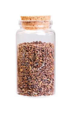 Dried birch buds in a bottle with cork stopper for medical use. clipart