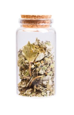 Coltsfoot (Tussilago farfara) bir şişe ile kurutulmuş yapraklar 