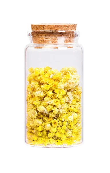 Helichrysum flowers in a bottle with cork stopper for medical us — Stock Photo, Image