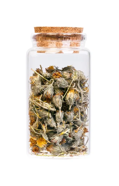 Dried Hawkweed flowers in a bottle with cork stopper for medical — Stock Photo, Image