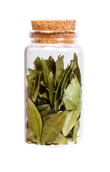 Dry leaves of the vinca in a bottle with cork stopper for medica — Stock Photo, Image