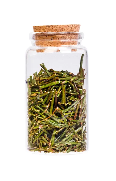 Sprouts (sprigs) of bilberry for medical use in a bottle with co — Stock Photo, Image