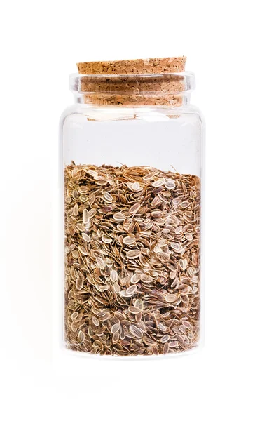 Dill seeds in a bottle with cork stopper for medical use. — Stock Photo, Image