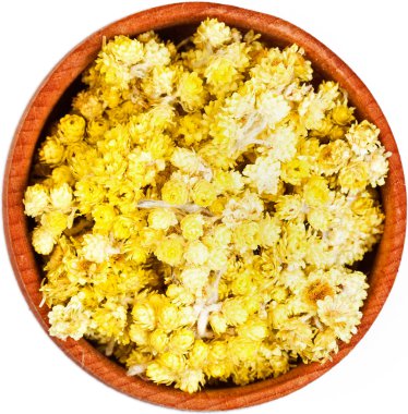 Helichrysum çiçekler üzerinde beyaz izole küçük bir ahşap yay.