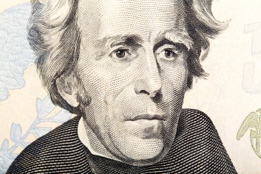 Yirmi dolarlık banknot - makro Başkan jackson parçası.