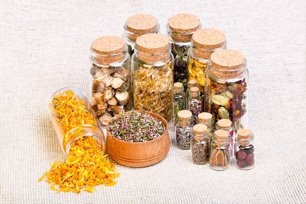 Seleção de medicamentos naturopáticos à base de plantas também utilizados em bruxas pagãs — Fotografia de Stock