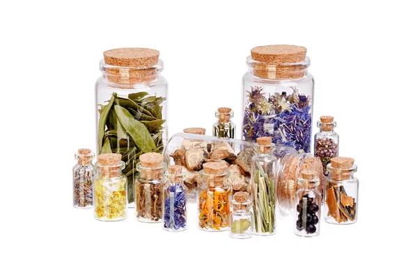 Muchas hierbas curativas en botellas de vidrio para hierbas medicinales aisladas — Foto de Stock