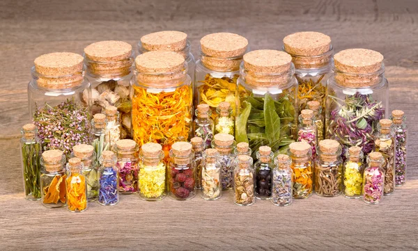 Ervas curativas em garrafas de ervas medicinais na velha mesa de madeira — Fotografia de Stock