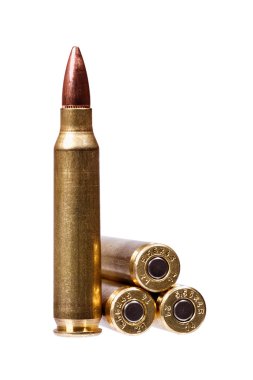 Two rifle bullets ( ammunition).