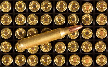 Ammunition cartridge on background.