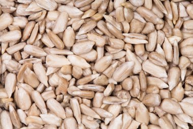 Ayçekirdeği arka planı.