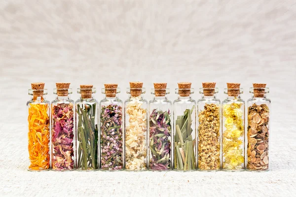 Gyógynövények, homeopátiás felhasználásra. — Stock Fotó