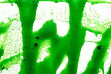 Kivi reçeli mevsimlik makro fotoğraf yaratıcı tasarım için. Arka plan.