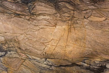 İç mekanın için kahverengi tonda mükemmel bir arka plan. Yüksek çözünürlüklü fotoğraf.