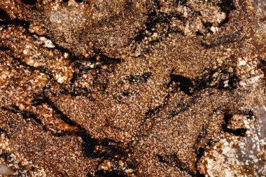 Sedna Gold - granite background, stylish photo of slab texture as part of your modern interior project.