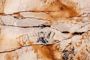 Roma İmparatorluğu - güzel açık bej tonda doğal kalsit arkaplan, yeni tasarımın için plaka desenli fotoğraf.