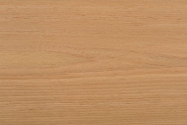 Beautiful oak veneer background in natural beige color. High quality texture in extremely high resolution.