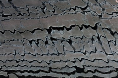 Çizgili kuvarsit taş arka planı kapat. Yüksek çözünürlüklü fotoğraf.