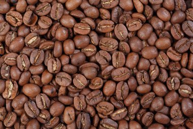 Nikaragua kahve çekirdekleri (gurme kahve dokusuna).