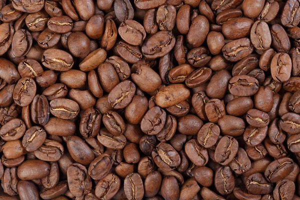 Texture del Guatemala Maragogype (caffè gourmet ). — Foto Stock