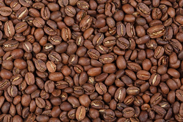 Texture di Etiopia Sidamo (caffè gourmet ). — Foto Stock