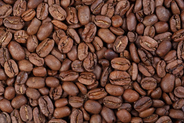 Texture di Maragogype Colombia (caffè gourmet ). — Foto Stock