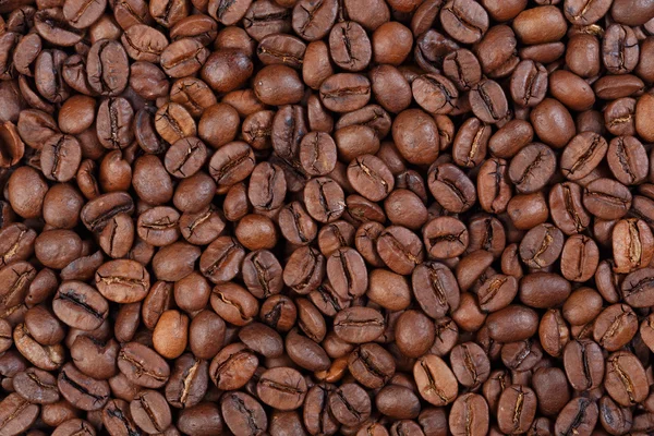 Texture del caffè Brasil Santos (caffè gourmet ). — Foto Stock