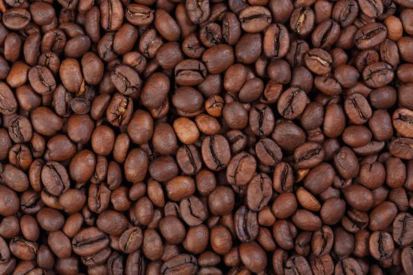 Texture del caffè Kenya AA (caffè gourmet ). — Foto Stock