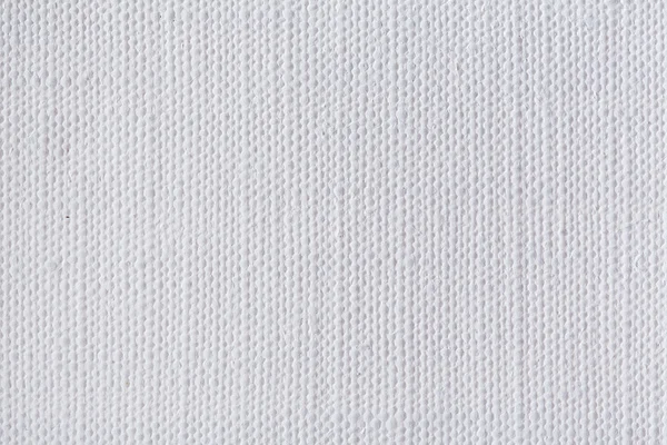 White canvas background texture.