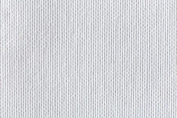 Φόντο λευκό καμβά ή υφή. — Stock fotografie