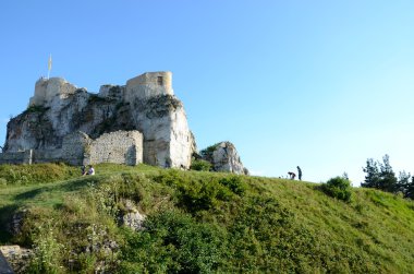 Castle Rabsztyn Polonya