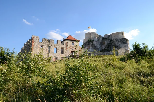 Castello di Rabsztyn in Polonia — Foto Stock