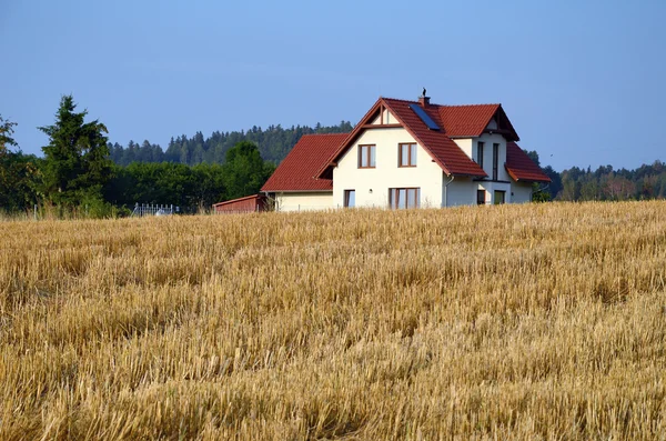 Paesaggio con campo e casa — Foto Stock