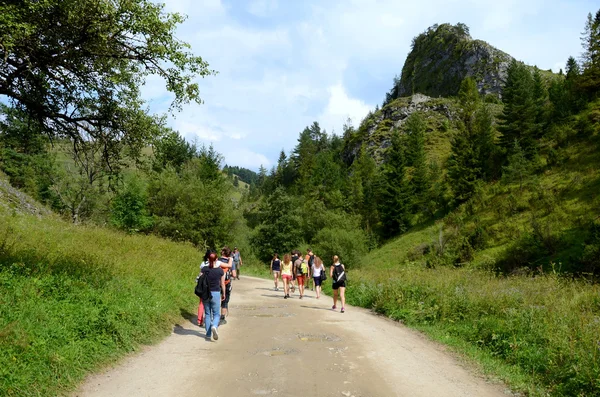 Dağlarda yol