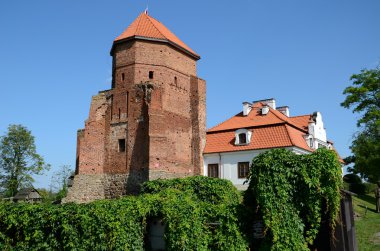 Kale Polonya