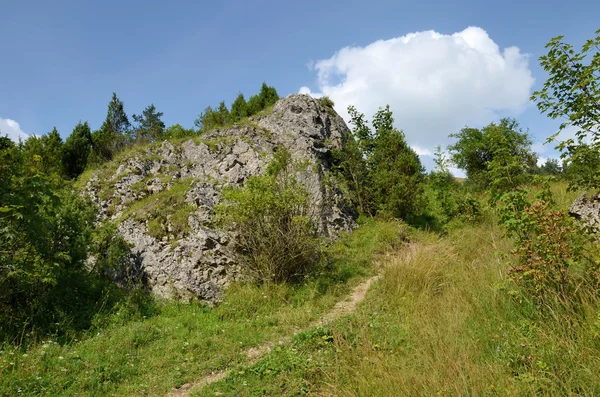 Montagne (Pieniny in Polonia ) — Foto Stock