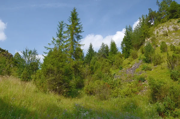 Dağlar (Pieniny Polonya) — Stok fotoğraf