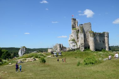 Castle in Poland (Mirów)