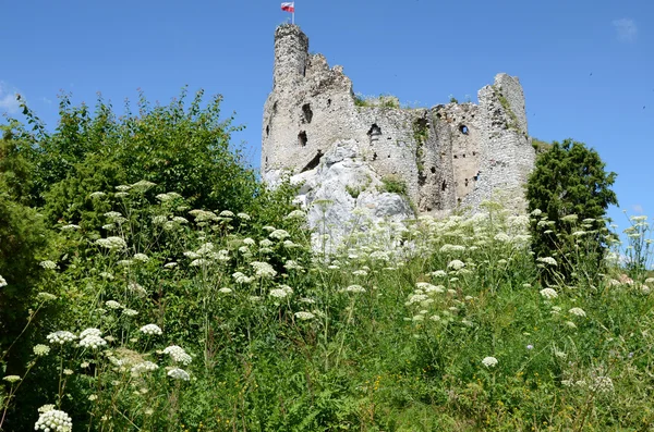 Castle in Poland (Mirów) — Zdjęcie stockowe