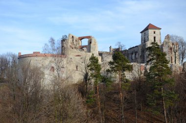 Kale Harabeleri (Tenczyn Polonya)