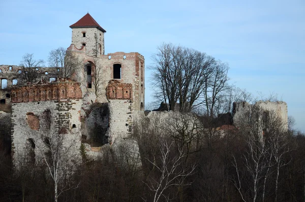 Ruines du château (Tenczyn en Pologne ) — Photo