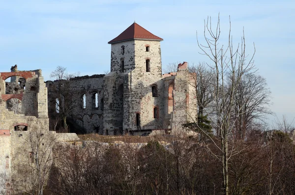 Castle ruins (Tenczyn in Poland) — Stock Photo, Image