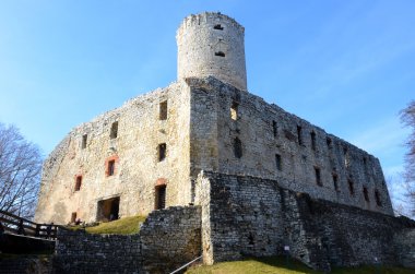 Castle Lipowiec Polonya