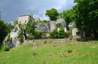 Castle Morsko Polonya