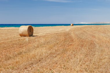 Ayia Napa ve Cavo Greco, Kıbrıs adası, Akdeniz yakınında deniz kıyısında balyalar ile saman alanında güzel panoramik görünümü. Parlak güneşli bir gün.